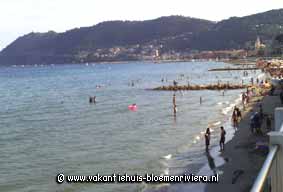 Bloemenriviera Stranden Bloemenriviera Stranden
